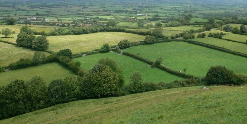 Countryside