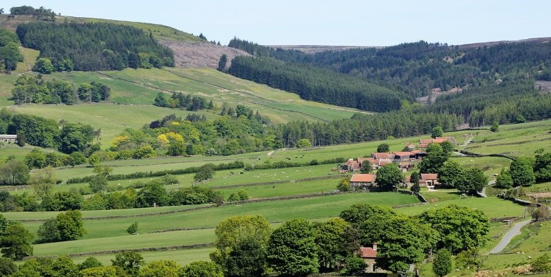 Yorkshire Moors