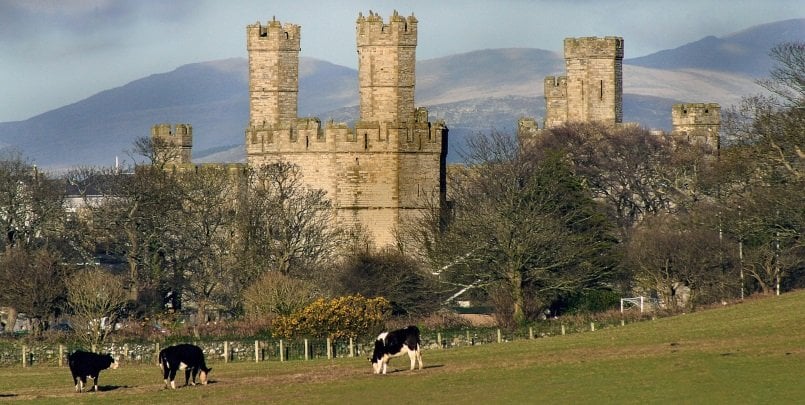 caernarfon-castle-1527073_1280