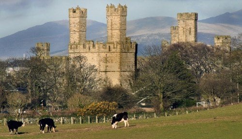 caernarfon-castle 500