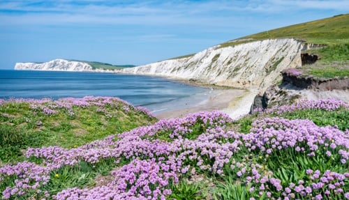 3 Day Isle of Wight Tour from London