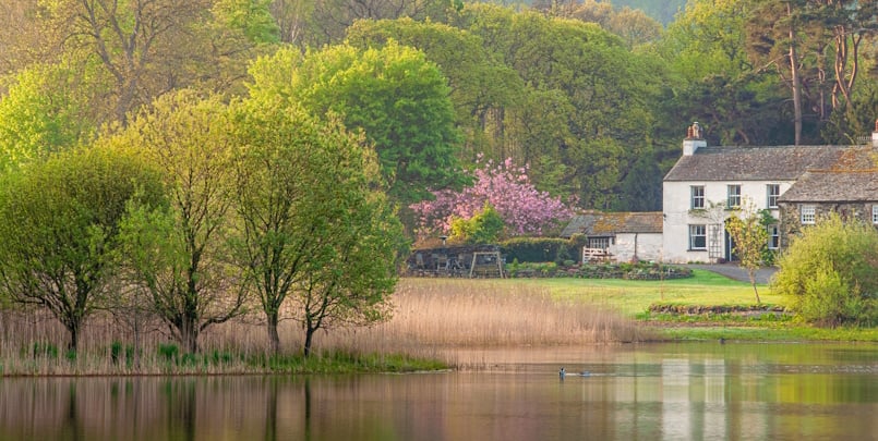 Spring colours on Derwentwater